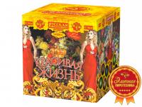 Красивая жизнь Фейерверк купить в Навашино | navashino.salutsklad.ru