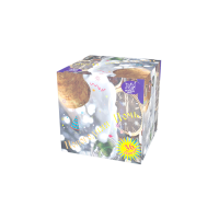 Новогодняя ночь Салют купить в Навашино | navashino.salutsklad.ru