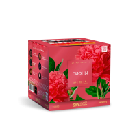 Пионы Салют купить в Навашино | navashino.salutsklad.ru