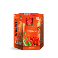 Тюльпаны Салют купить в Навашино | navashino.salutsklad.ru