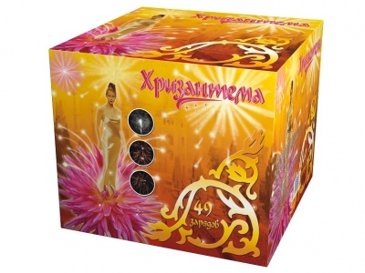 Хризантема Салют купить в Навашино | navashino.salutsklad.ru