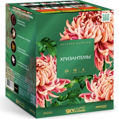 Хризантемы Фейерверк купить в Навашино | navashino.salutsklad.ru