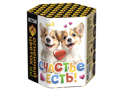 Счастье есть! Салют купить в Навашино | navashino.salutsklad.ru